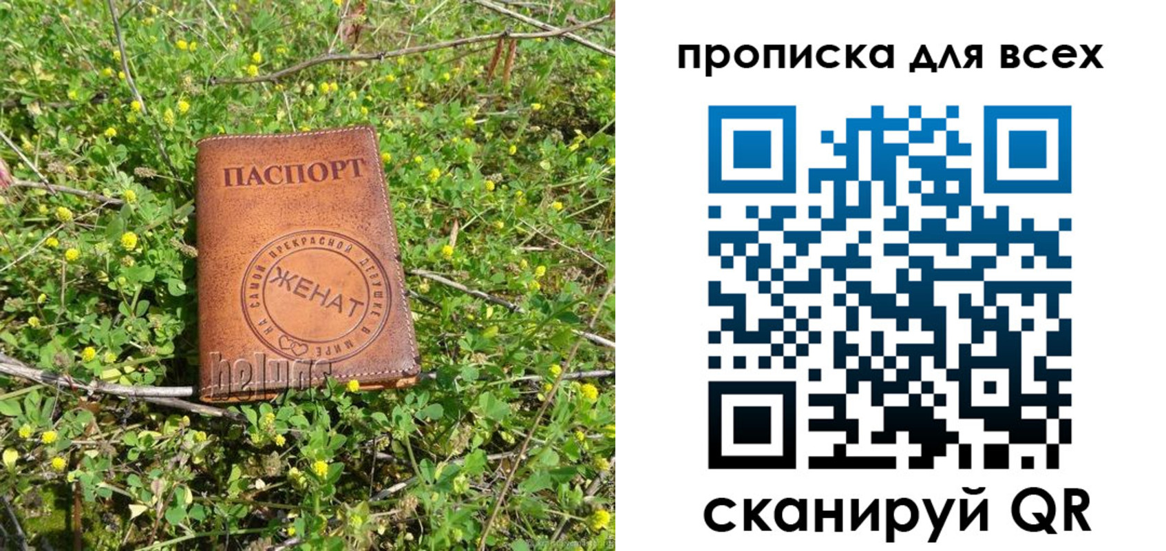 прописка поиск в Коле